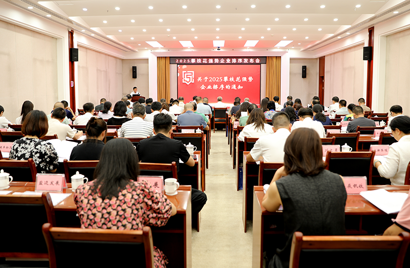 擘畫藍(lán)圖 聚勢(shì)而進(jìn) 攀枝花發(fā)布2025強(qiáng)勢(shì)企業(yè)排序榜單 ——政企同心共謀高質(zhì)量發(fā)展新篇章